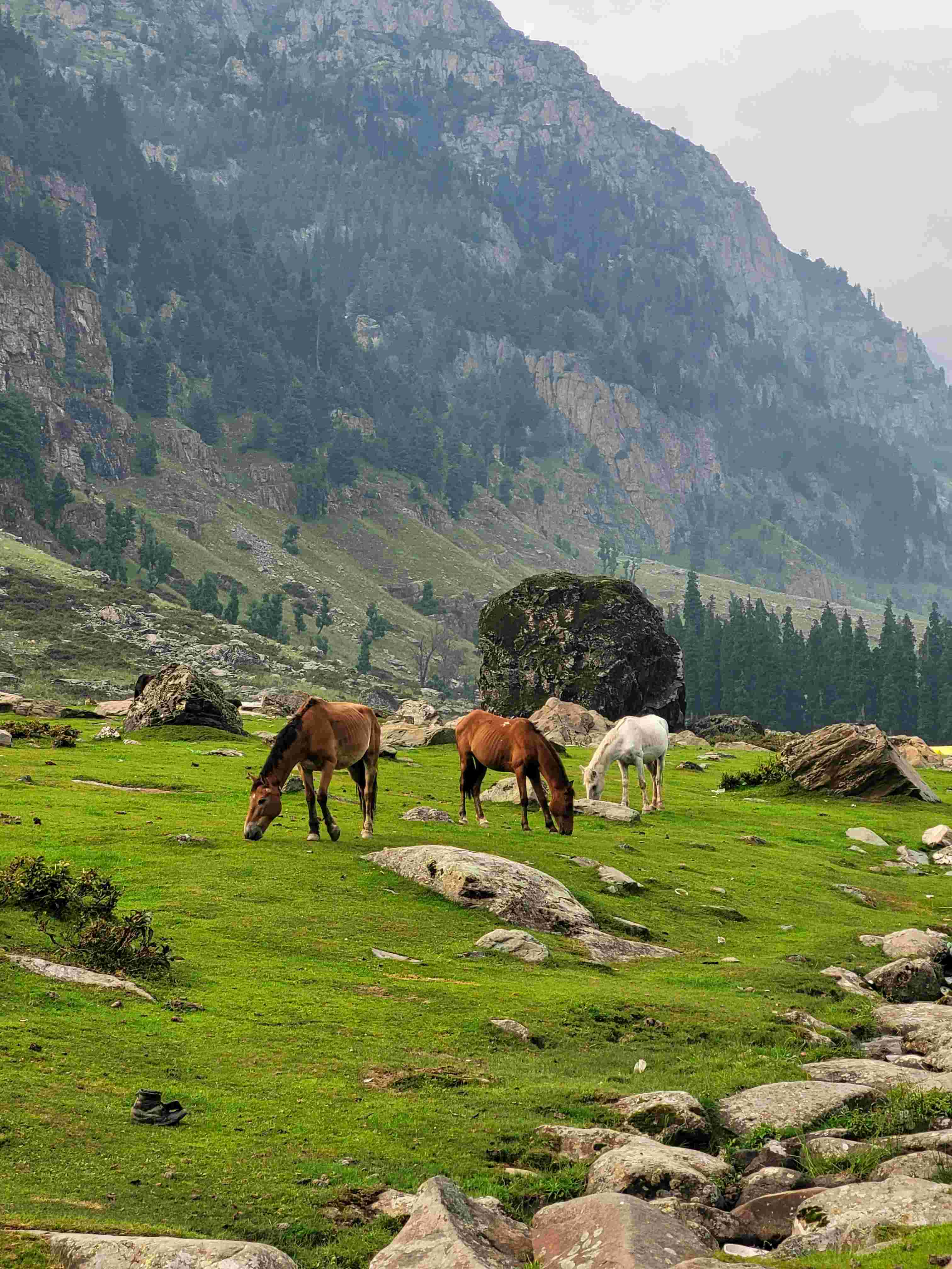 Sonamarg Kashmir tourism